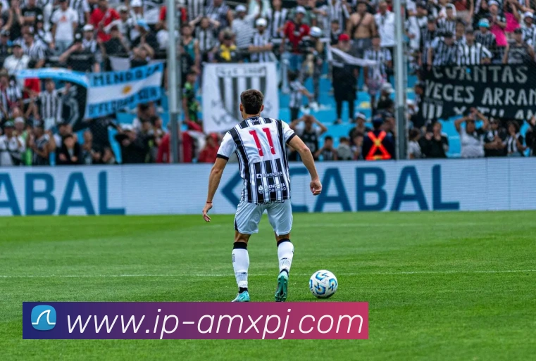 澳门新葡京娱乐APP 封面图